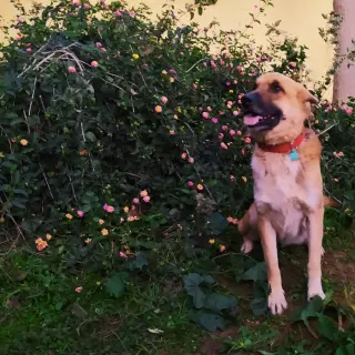 Baxter