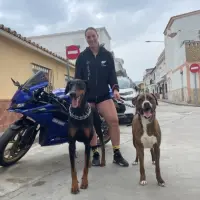 Adopta a Ares