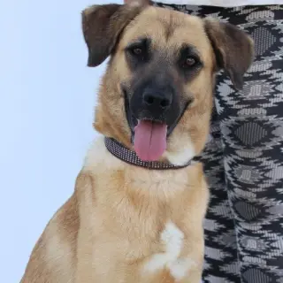 Rubí