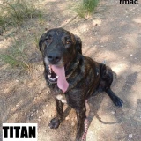 Adopta a Titán