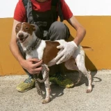 Adopta a Ramón