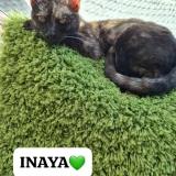 Adopta a Inaya