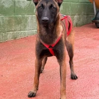 Adopta a Kaia
