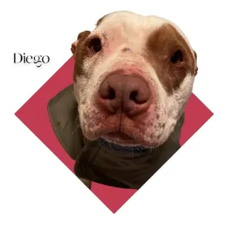 Diego