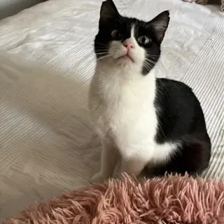 Keka