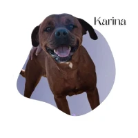 Adopta a Karina