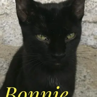Bonnie