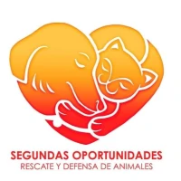 Segundas oportunidades