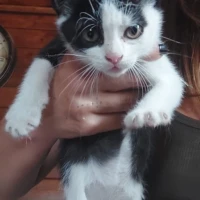 Adopta a Kaia