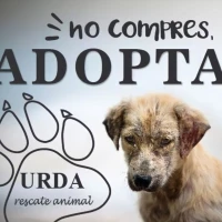 URDA Rescate Animal
