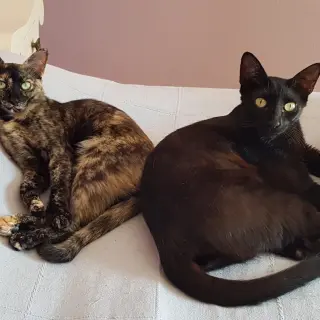 Candela y Bruno