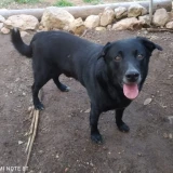 Adopta a Noi