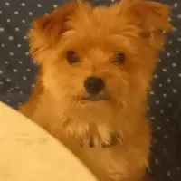 Adopta a Alejandro