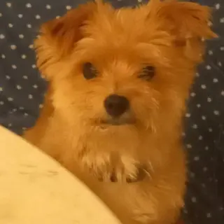 Alejandro