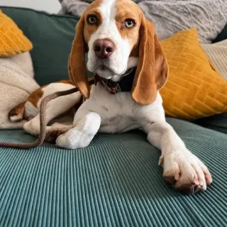 Rita