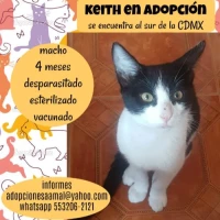 Adopta a Keith