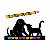 Rescatando Peludos