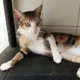 Adopta a Alejandra