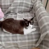 Adopta a Princesa