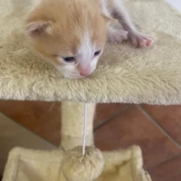 Adopta a Patricia
