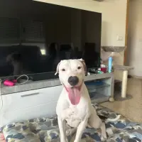 Adopta a Channel