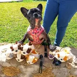 Adopta a Queca