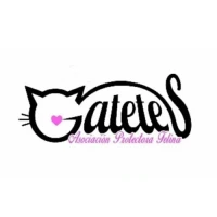 Asociación Protectora Felina Gatetes