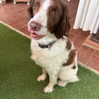 Lennon