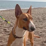 Adopta a Tuva