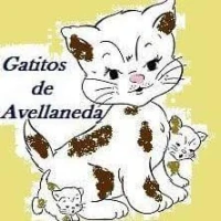 Gatitos de Avellaneda