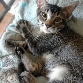 Barry
