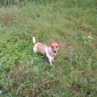 Adopta a Chyta