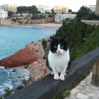 Huellas callejeras Costa Daurada