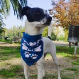 Adopta a Mia