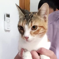 Adopta a Santa María