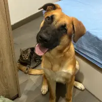Adopta a Nairo