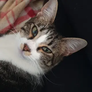 Edgar