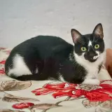 Adopta a Titi