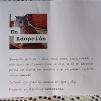 Adopta a Blanqilla
