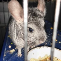 Adopta a Alejandro