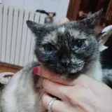 Adopta a Eli