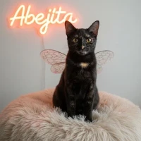 Adopta a Abejita