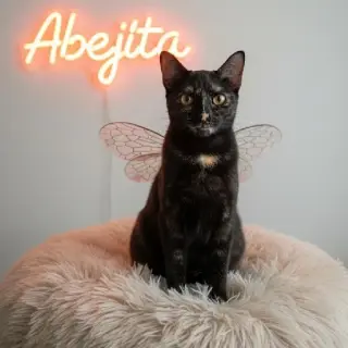 Abejita