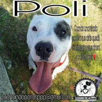 Adopta a Poli