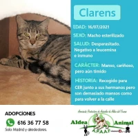Adopta a Clarens