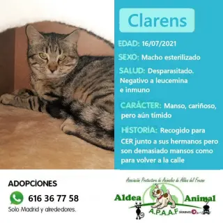 Clarens