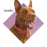 Adopta a Sandra