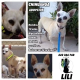 Adopta a Lili