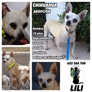 Lili