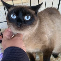 Adopta a Beca